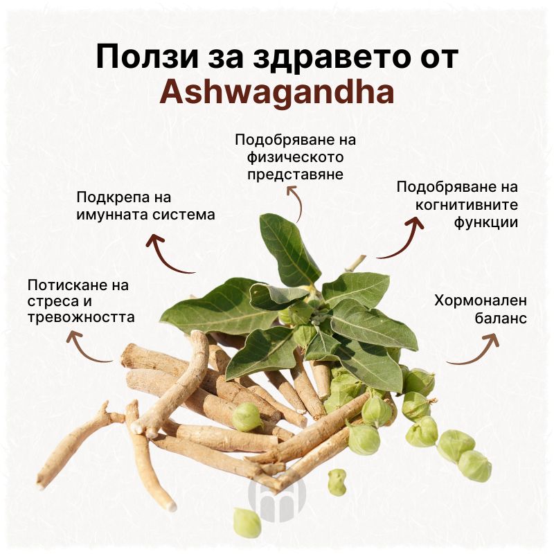 (Bulharština)